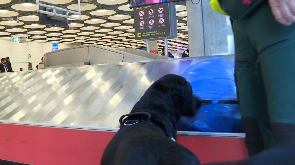 La difícil jornada de los agentes en el aeropuerto de Madrid,  puerta de entrada de la cocaína en Europa