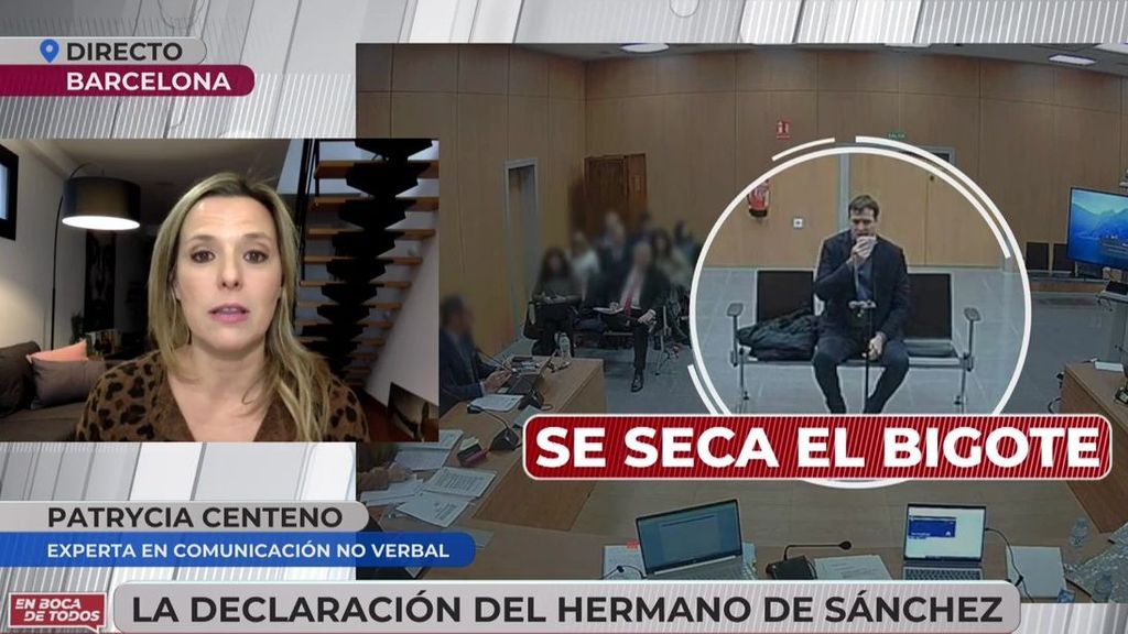 Analizamos los gestos del hermano de Sánchez ante el juez, según una experta: "Estaba muy nervioso"