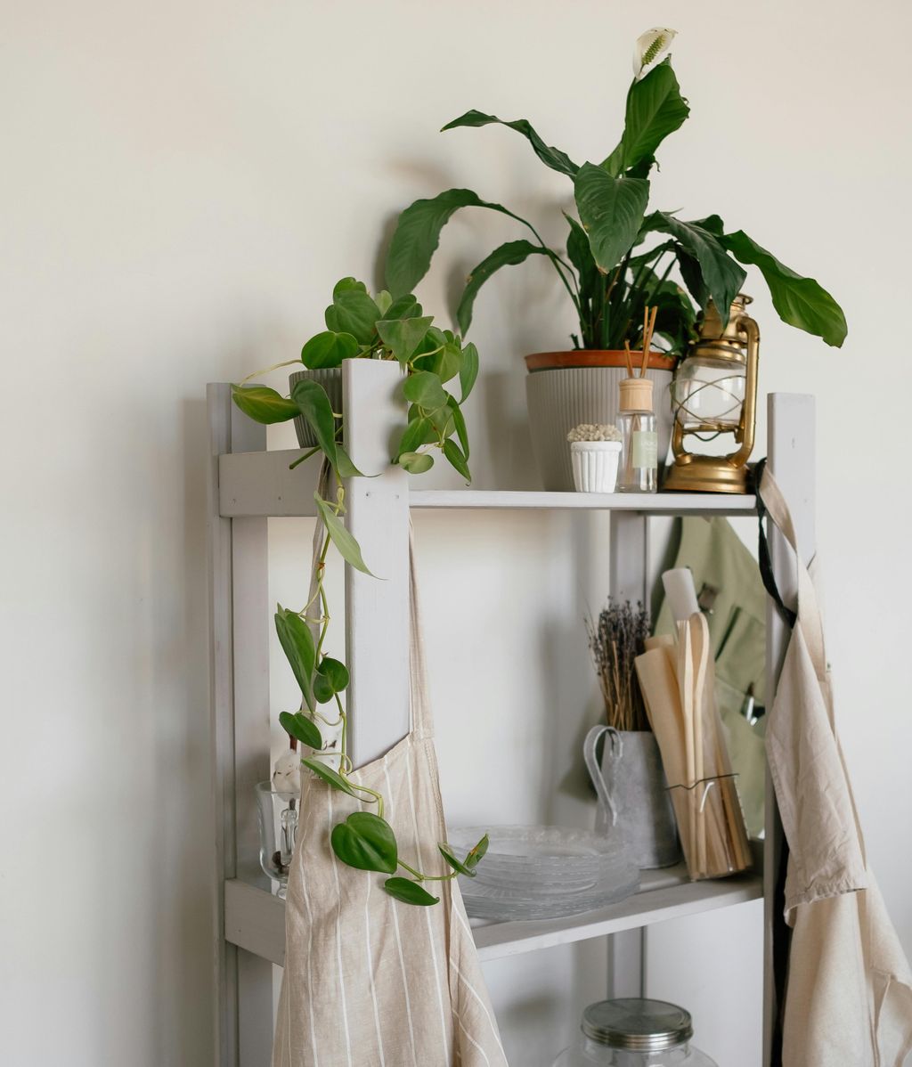 Estantería blanca con planta colgante y lirio de la paz