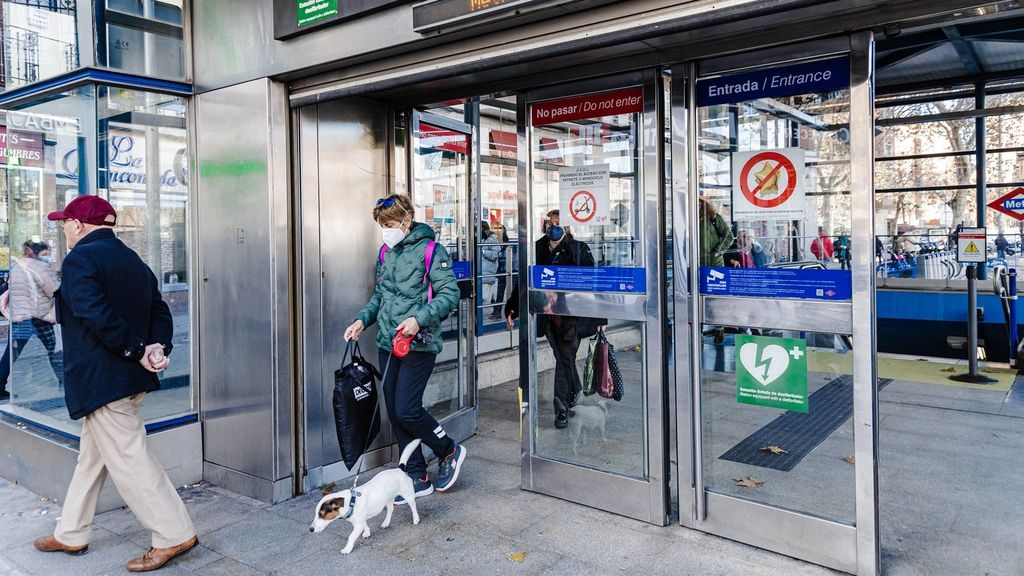 Metro perros