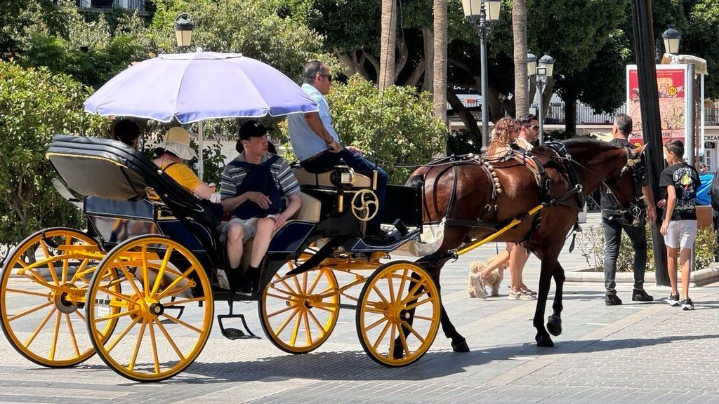 Imagen de archivo de un coche de caballos en Málaga