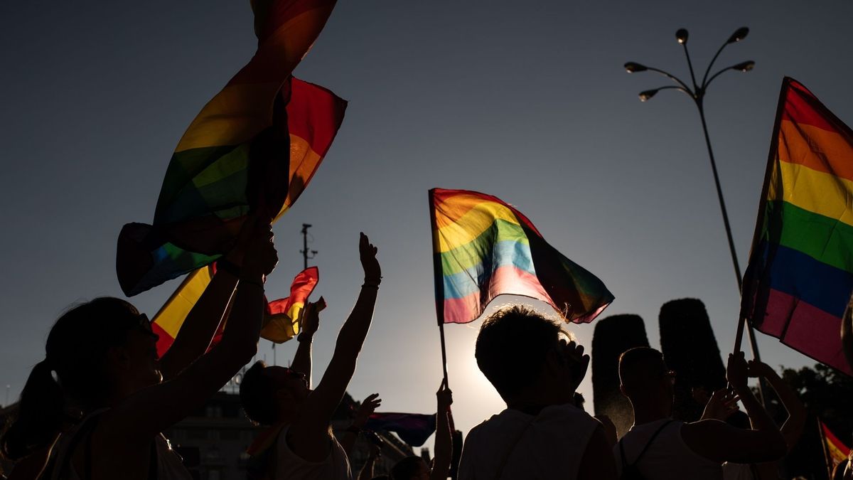 Varias personas con banderas LGTBI durante la manifestación estatal del Orgullo LGTBI+ 2024