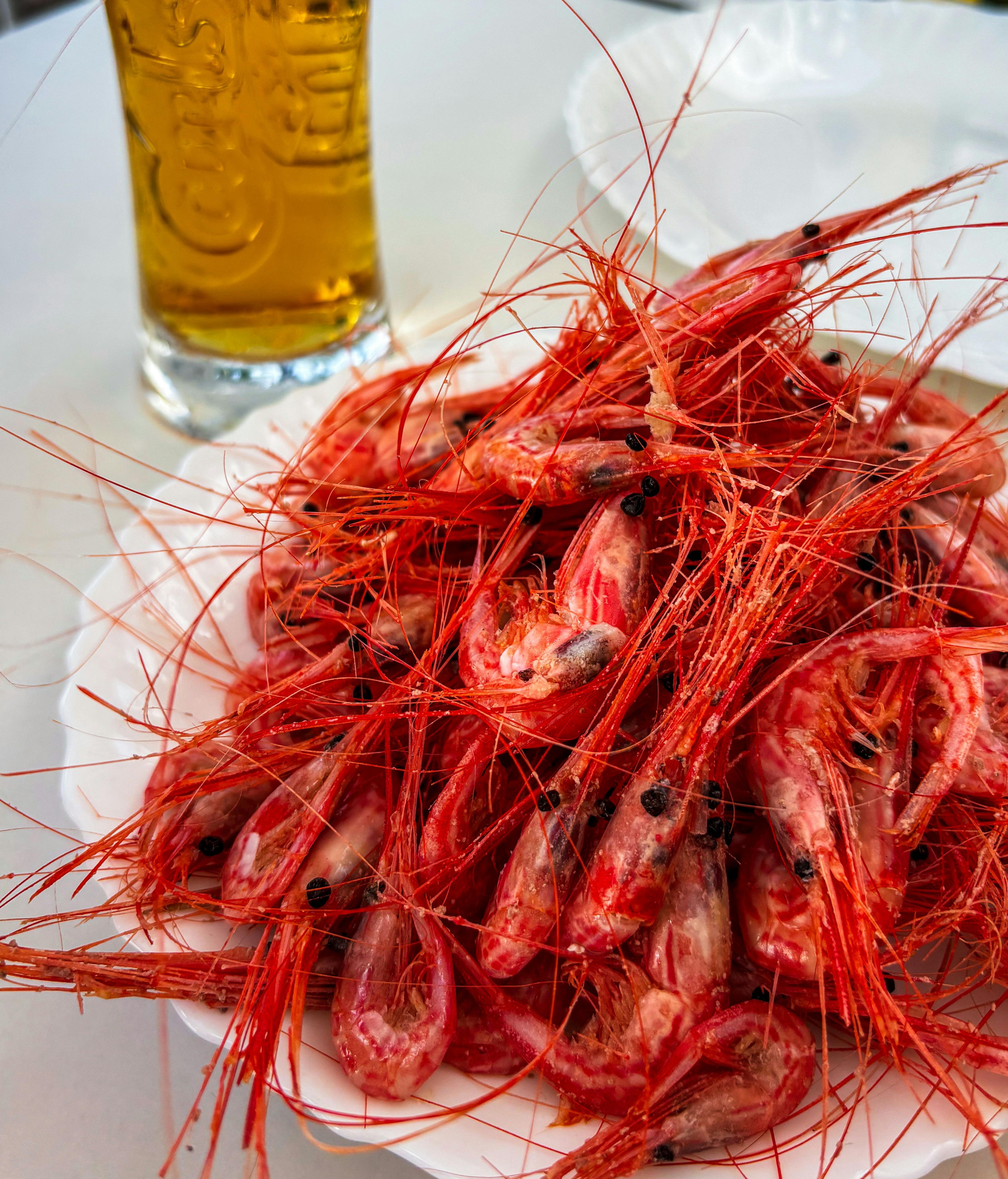 La denominación del marisco puede variar de una zona a otra. FUENTE: Pexels