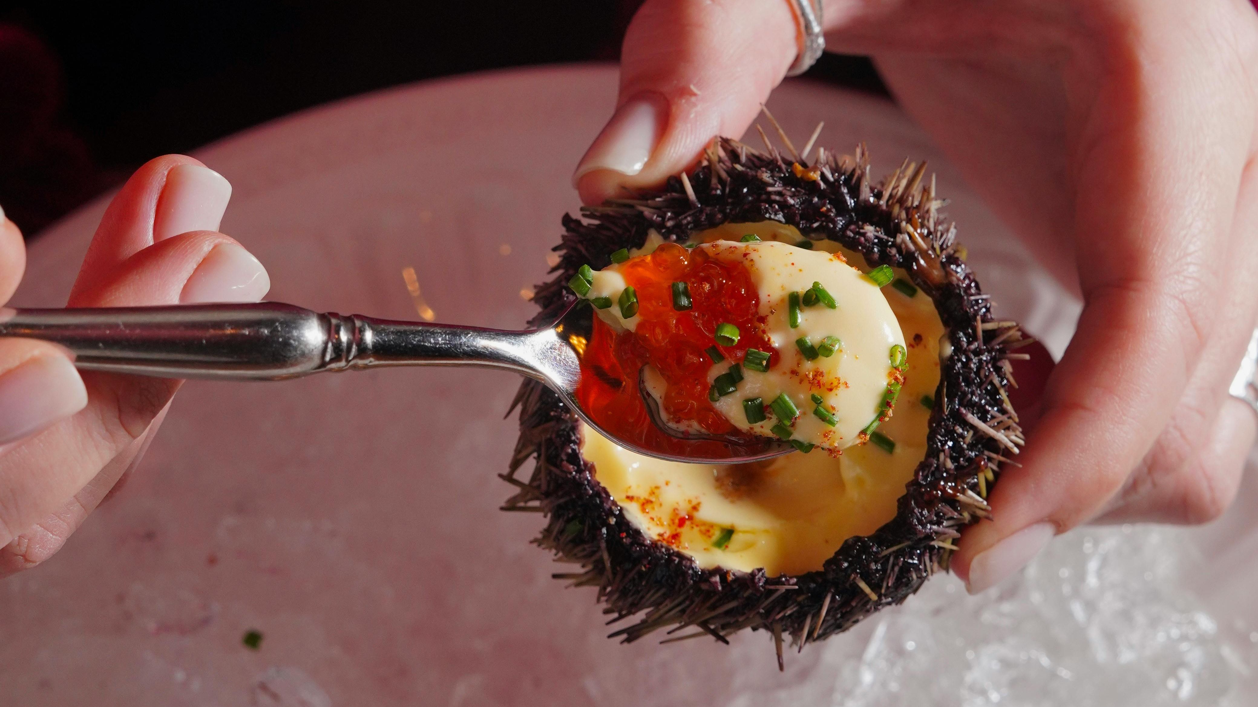 Puedes comer el erizo crudo o en guiso. FUENTE: Pexels