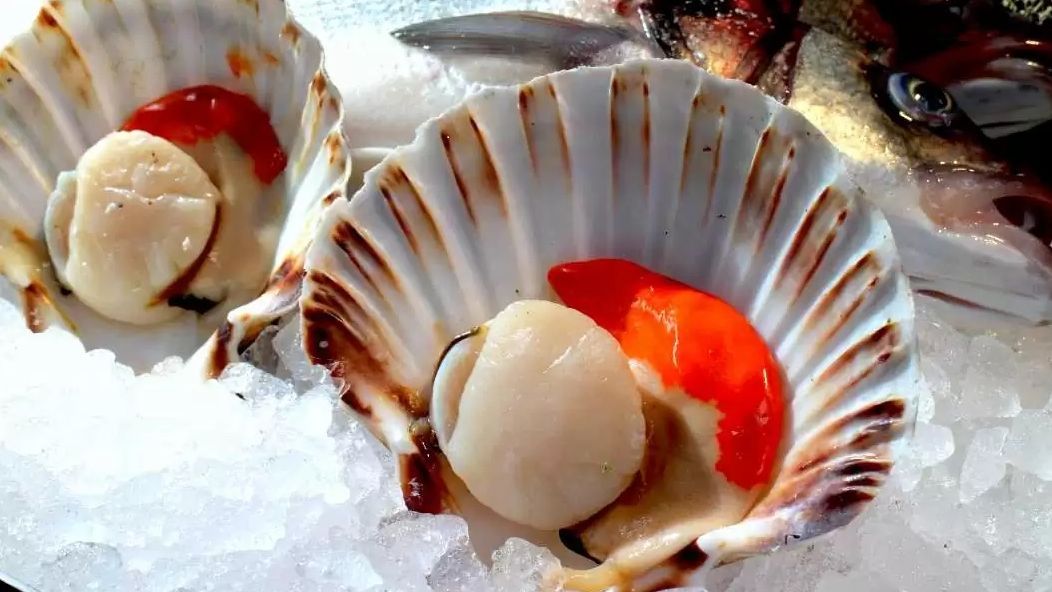 Zamburiñas, una delicia gallega