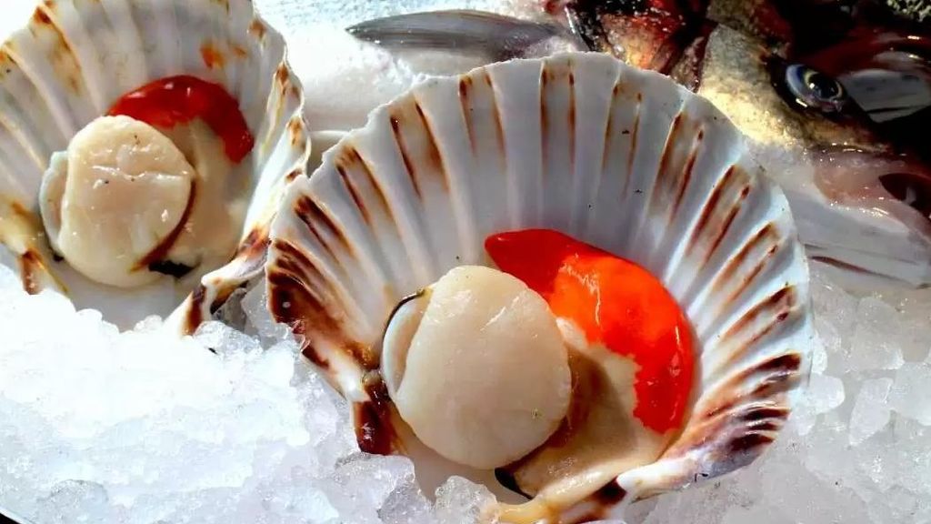 Zamburiñas, una delicia gallega