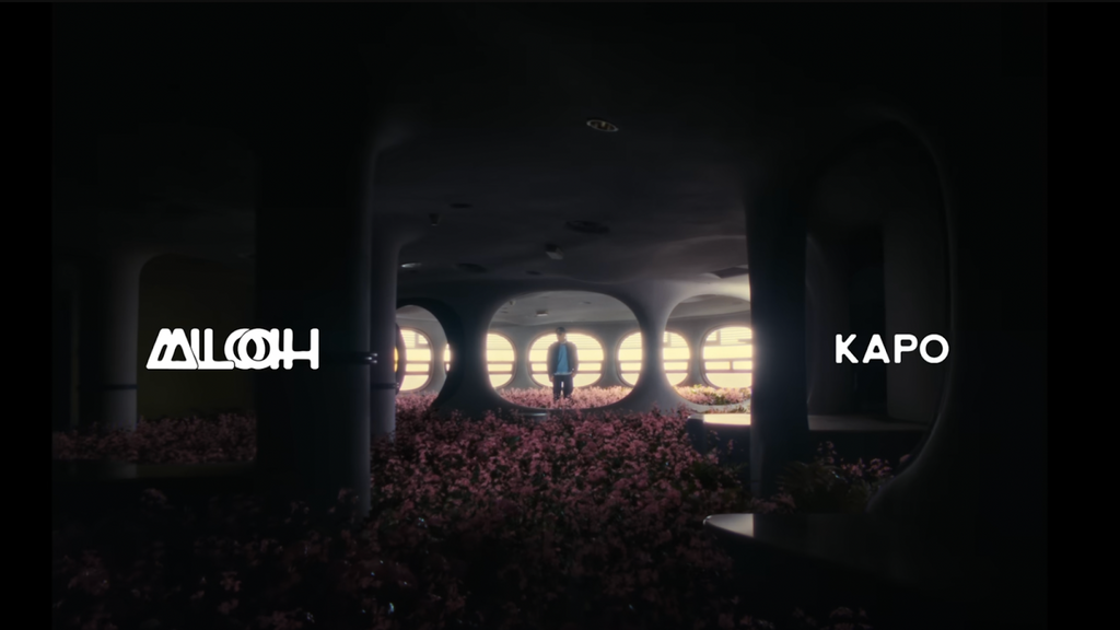 kapo