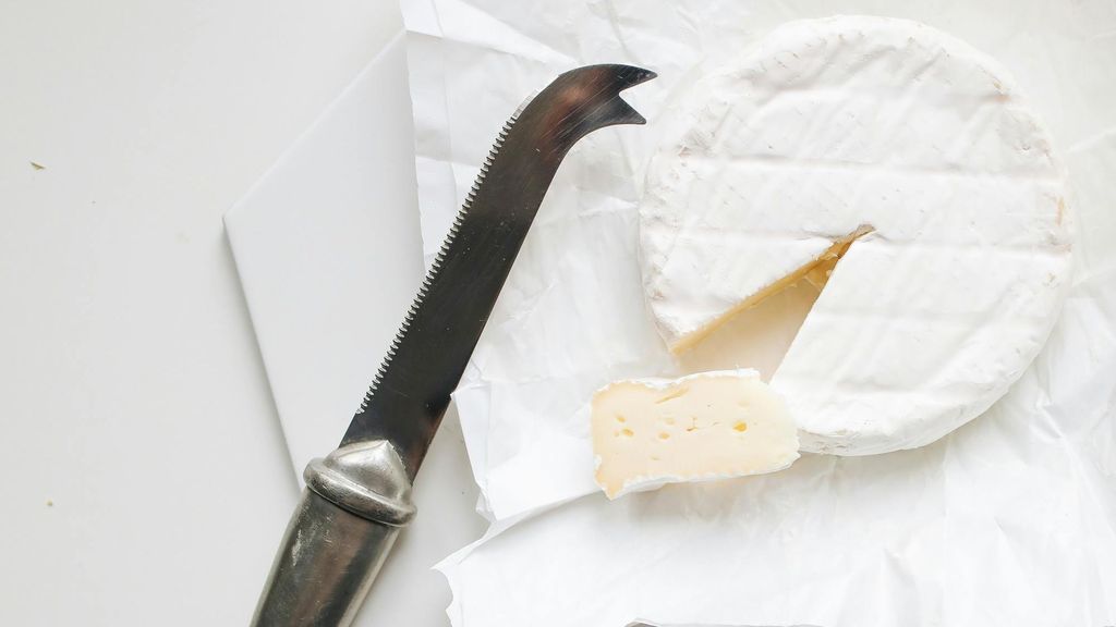 Queso camembert