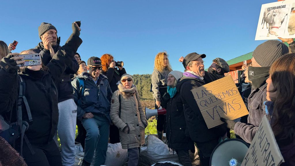 Multitudinaria protesta en Cantabria contra la devolución de cinco vacas maltratadas