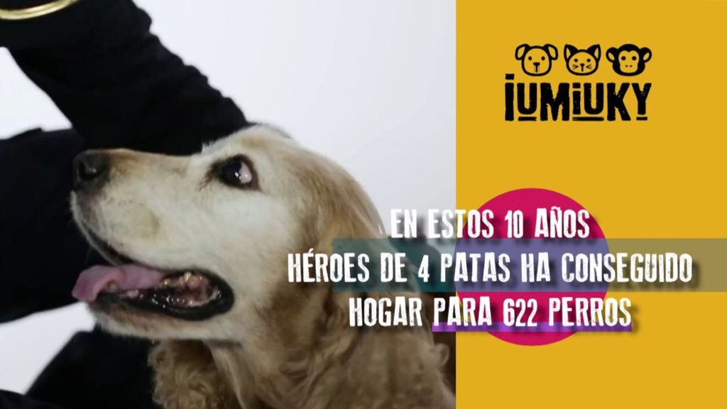 Gala 'Adopta un jubilado' Iumiuky Temporada 3 Programa 250