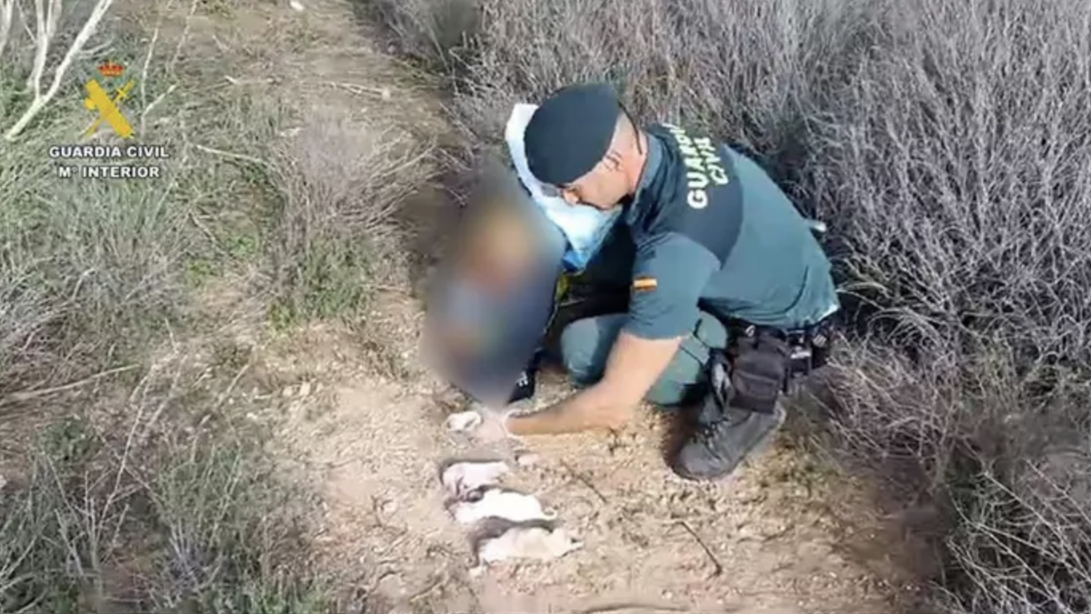 Investigado por abandonar a seis cachorros en el interior de un saco de pienso en Almería