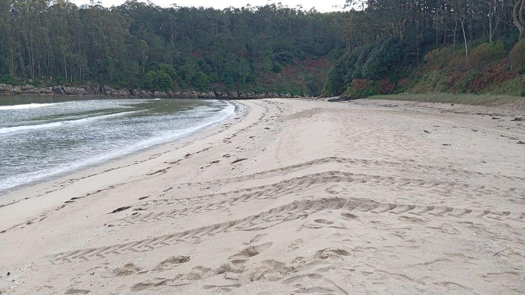 Así lucía la playa de Area Maior-Os Muiños en la mañana de este jueves, con sospechosas pisadas recientes