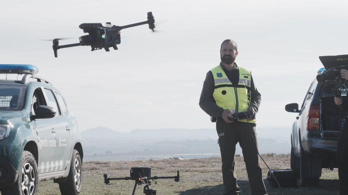 La superpoblación de conejos en Lleida: utilizan drones e inteligencia artificial para combatir la plaga