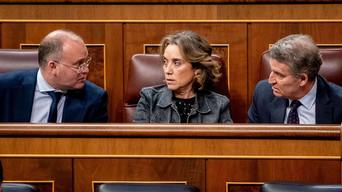 Miguel Tellado (i), Cuca Gamarra (c) y el presidente del PP, Alberto Núñez Feijóo, en el Congreso de los Diputados