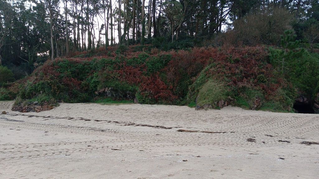 Playa de Area Maior-Os Muiños (A Coruña), este jueves