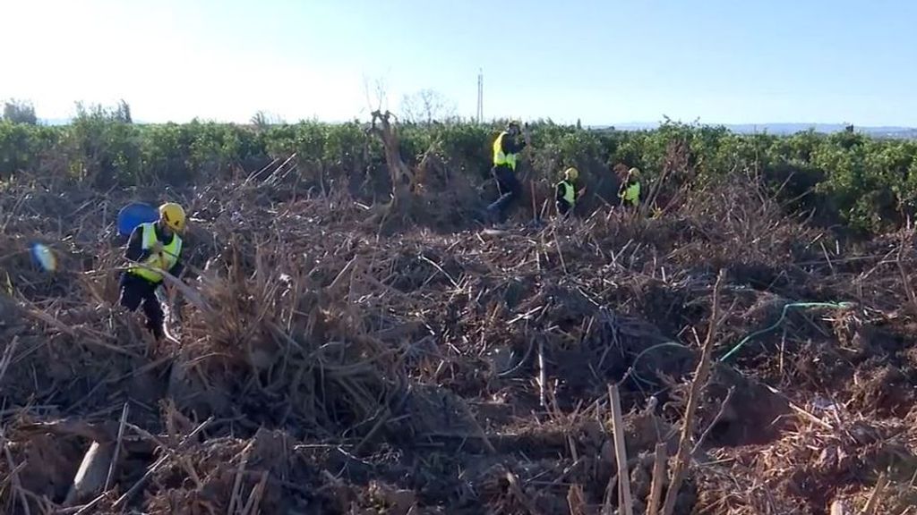 Así continúa la ardua búsqueda de los tres desaparecidos de la DANA: "Es muy difícil, pero vamos a seguir"