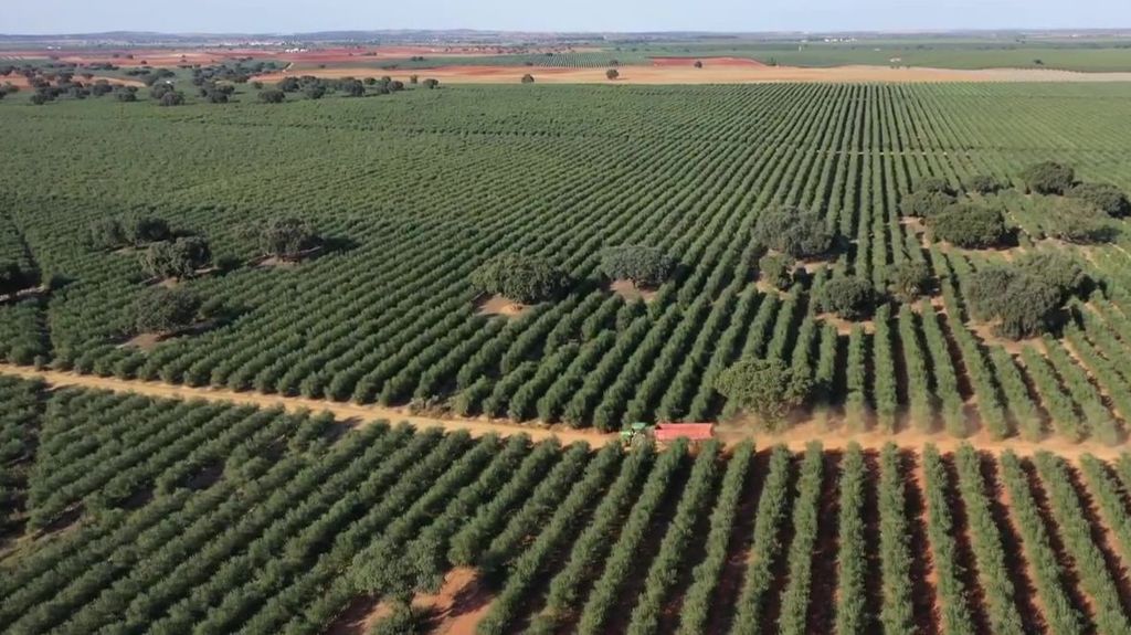 Los grandes fondos buitre internacionales ponen en peligro la soberanía alimentaria de España