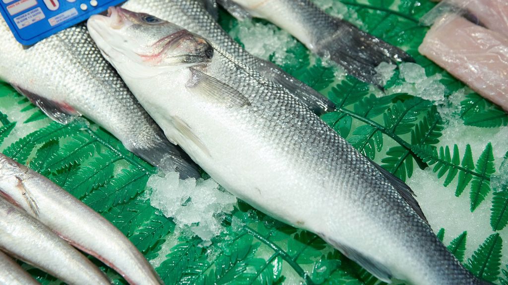 Lubinas en el mostrador de una pescadería