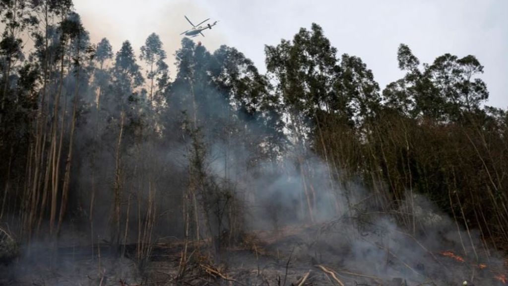 Activos seis de los 29 incendios registrados esta madrugada en Cantabria