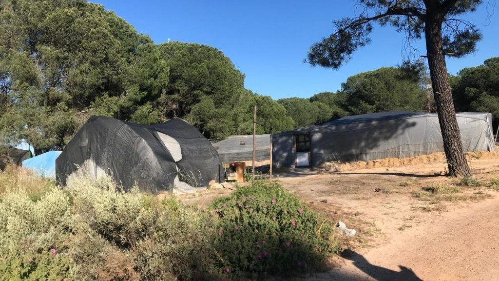 Asentamiento de temporeros en Lucena del Puerto, Huelva