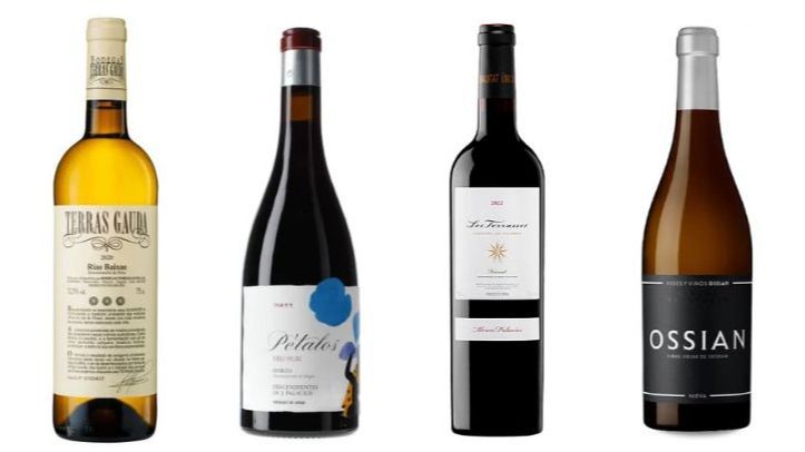 Si no sabes por cuál decantarte, la Guía Peñín es una herramienta perfecta