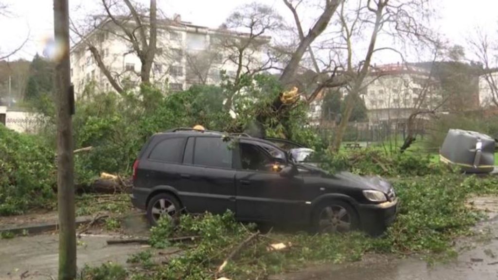 Herido un guardia civil en Pontevedra al caerle un árbol