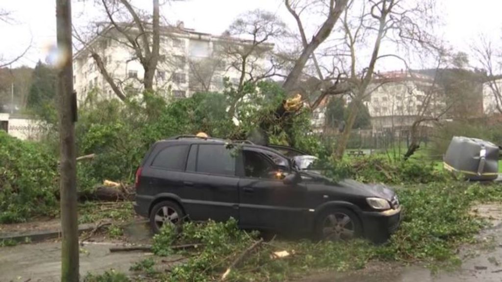 Vehículo destrozado en A Coruña por la caída de los árboles