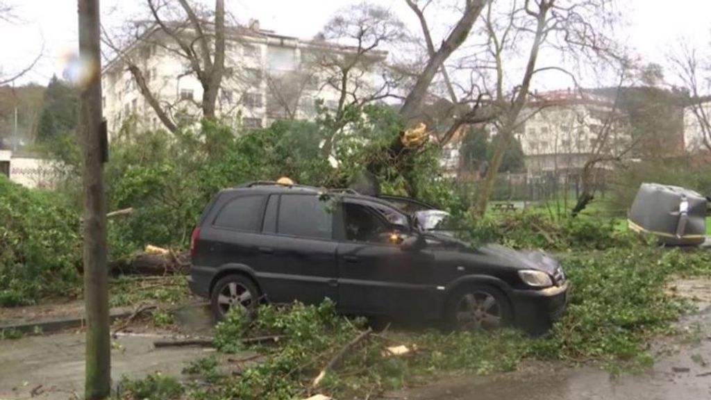 Vuelos cancelados y árboles en carreteras: así afecta la borrasca Herminia, sobre todo al norte del país