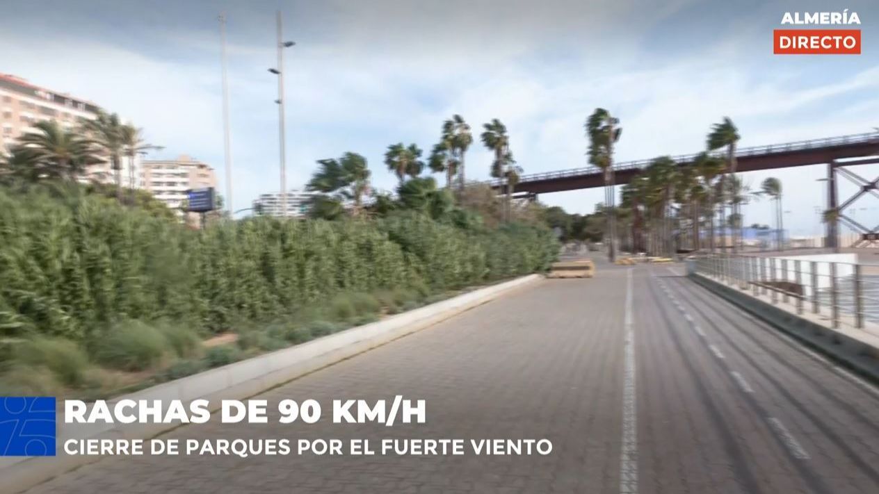 Almería, con rachas de viento de más de 90 km/h: "Es bastante difícil transitar por la calle"
