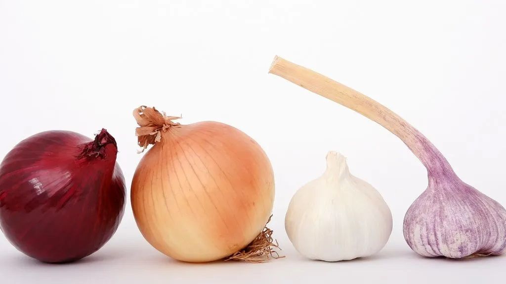 Ajo y cebolla
