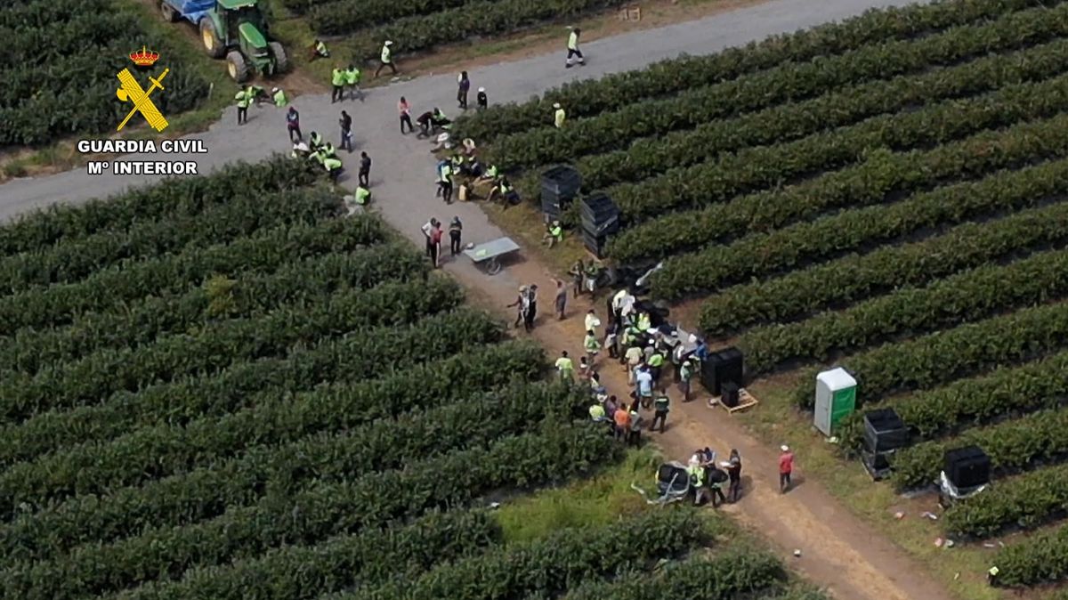 Finca de la provincia de Lugo en la que fueron identificados 82 trabajadores extranjeros en situación irregular