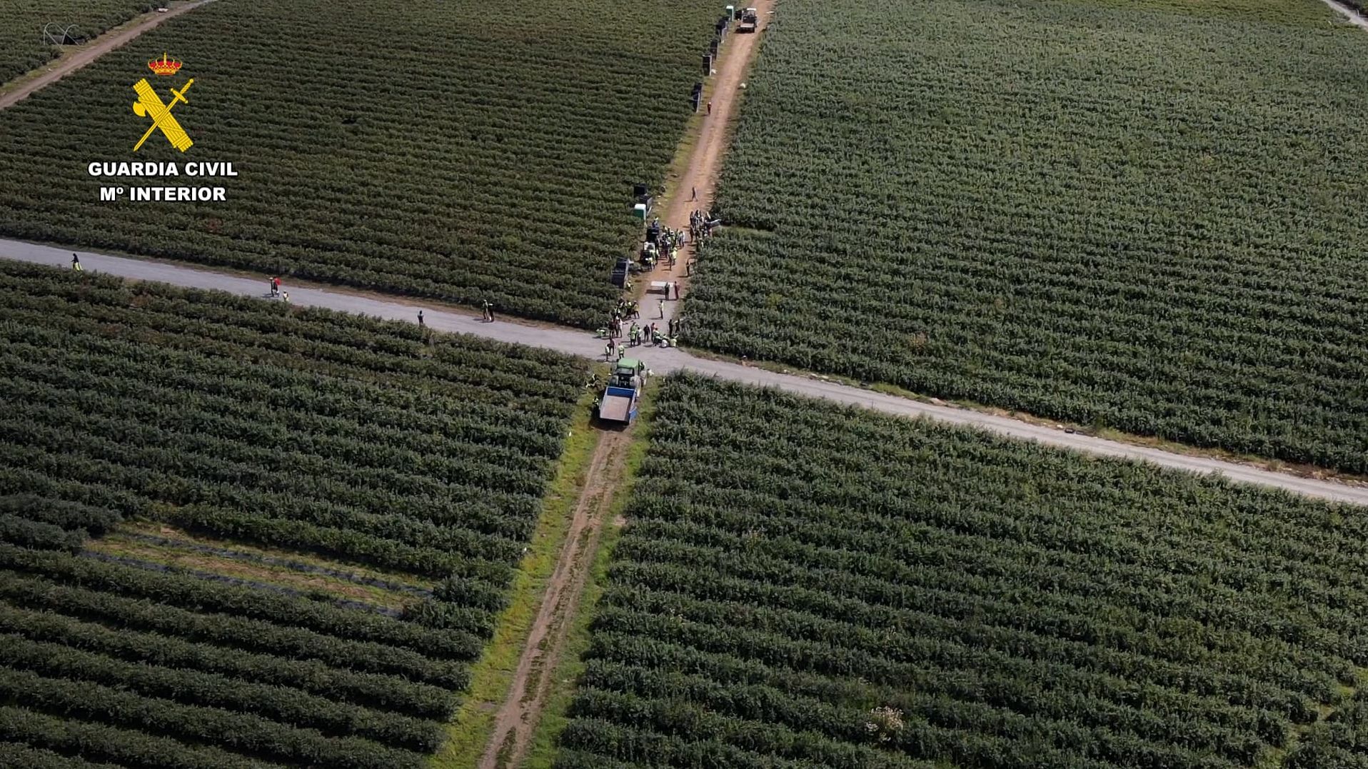 Inspección de la Guardia Civil y la ITSS de Lugo en una finca agrícola de la provincia