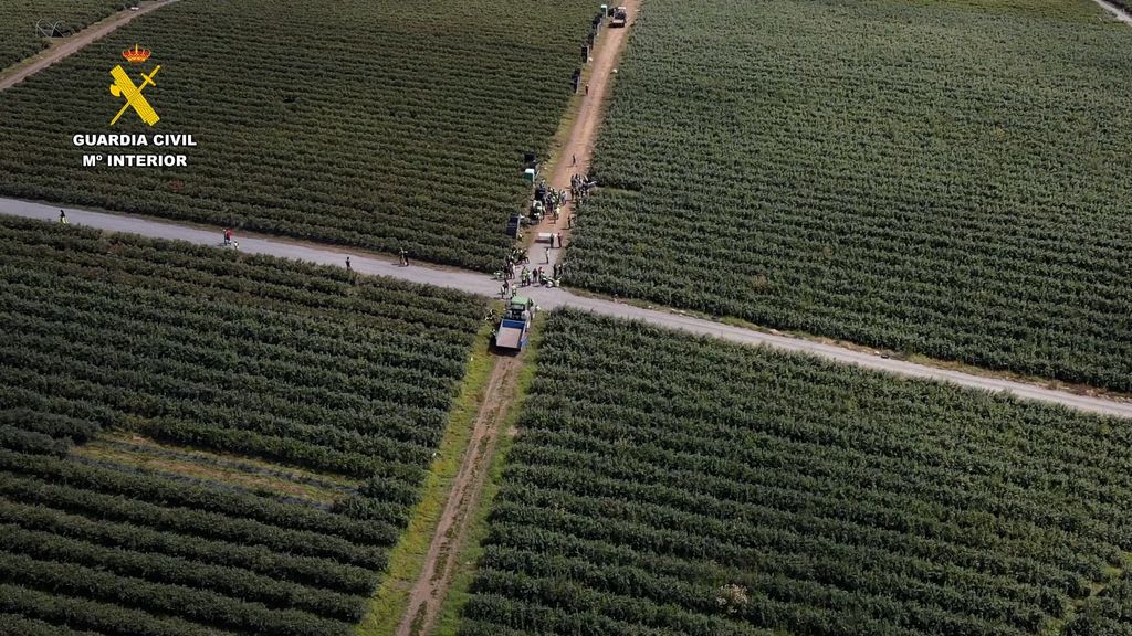 Inspección de la Guardia Civil y la ITSS de Lugo en una finca agrícola de la provincia