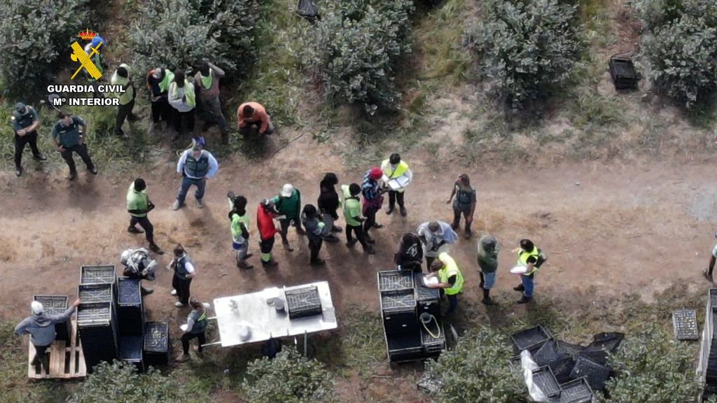 Imagen de la redada realizada por la Guardia Civil en Begonte, Lugo
