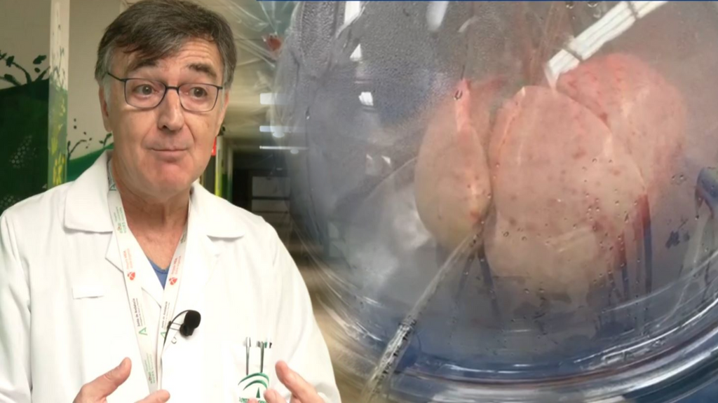 La recuperación de un pulmón