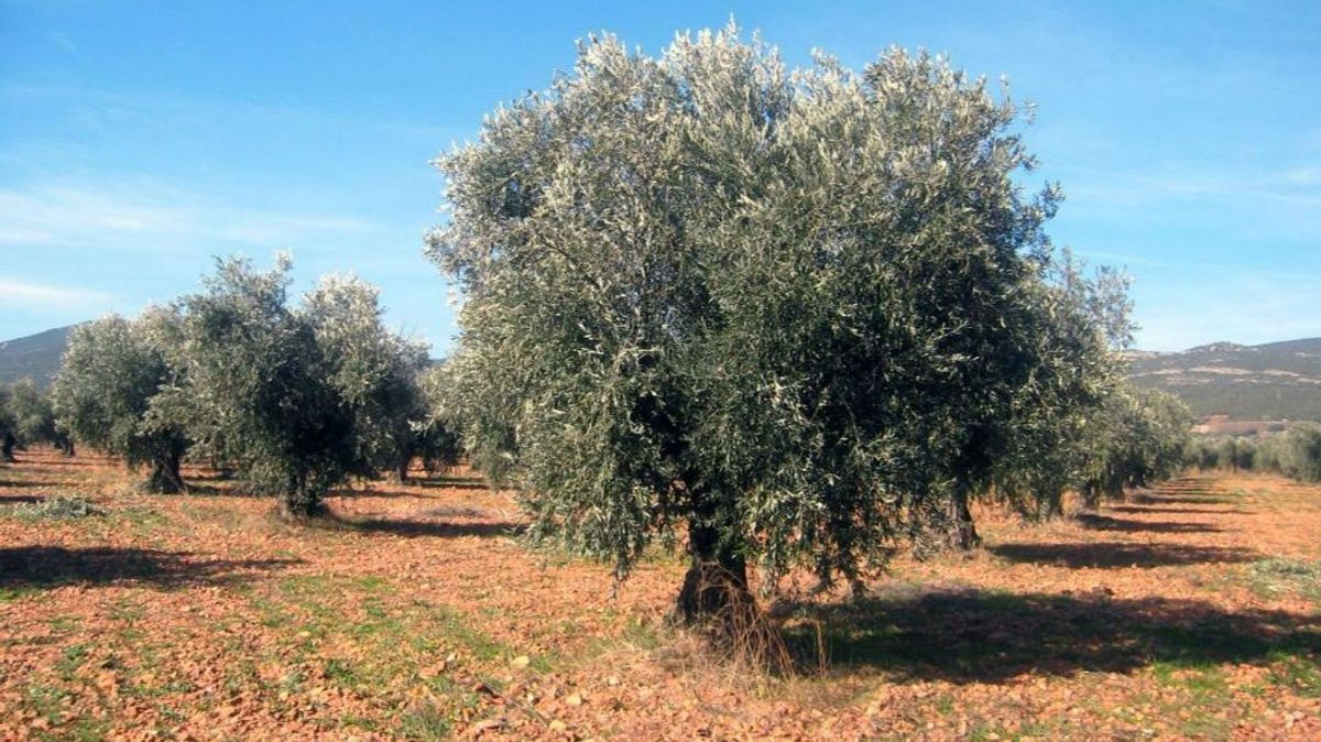 Los agricultores estallan ante unos expedientes de sanción por no poner retretes en el campo: “Supera el absurdo”