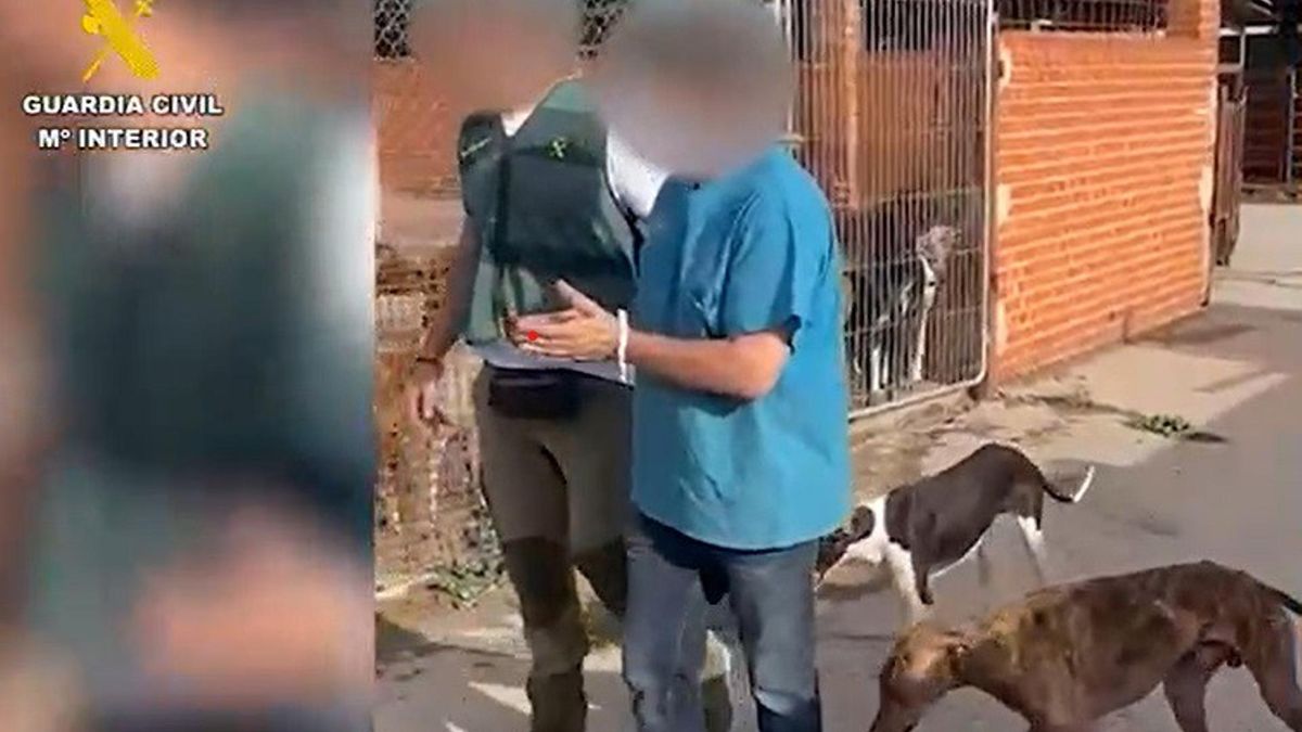 Guardia Civil investiga a un hombre tras hallar tres cadáveres de perros y 11 en malas condiciones