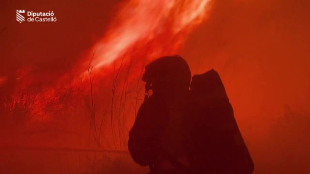 Un incendio entre Nules y Moncofa obliga a desalojar un camping en la provincia de Castellón