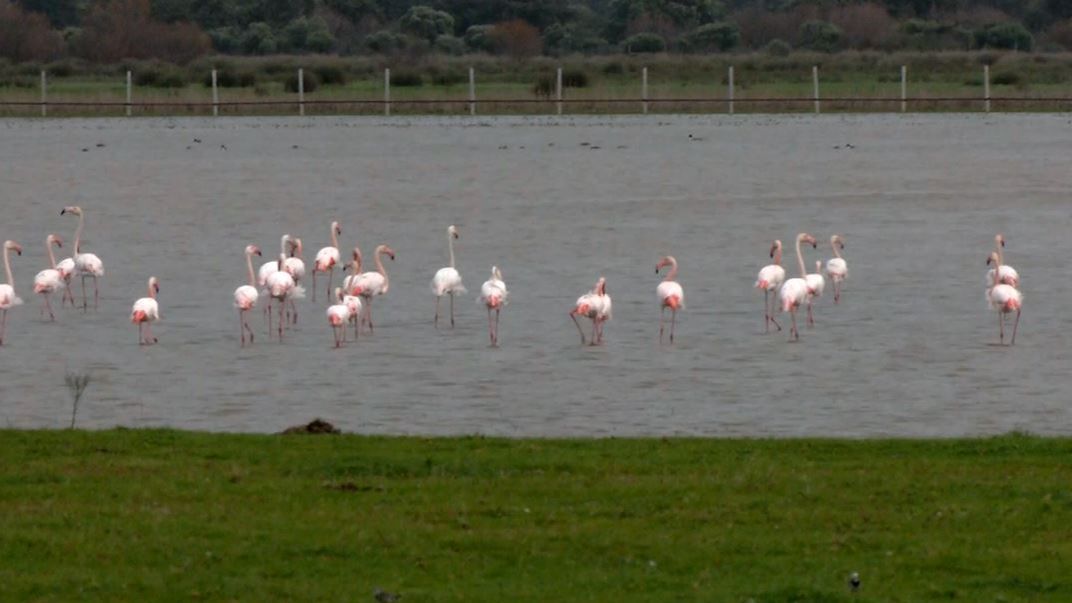 Alerta medioambiental por la pérdida de humedales en el planeta