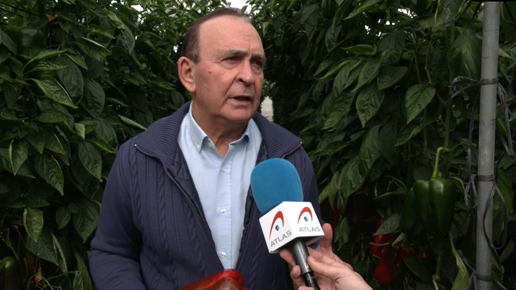 Miedo a los aranceles de Donald Trump: mucho productores temen una caída en las exportaciones