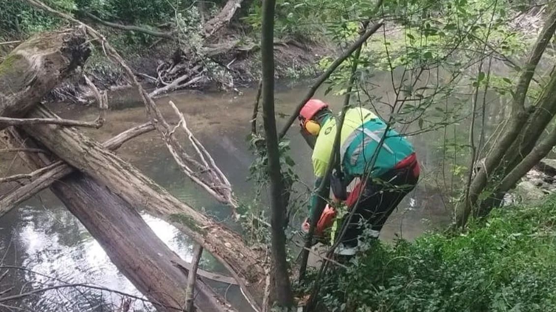 Hombre trabajando sobre el río