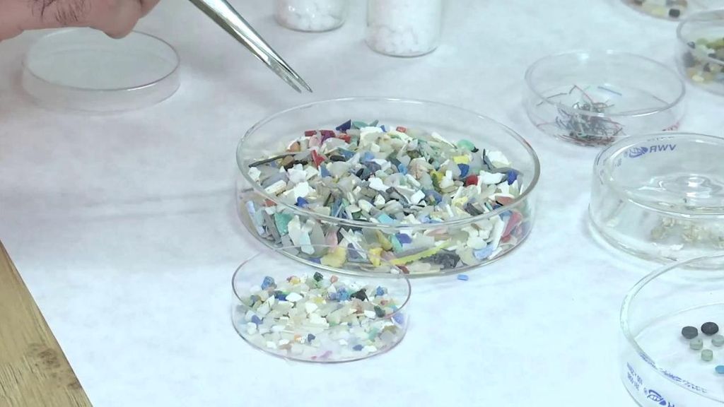 Un estudio revela cifras preocupantes de existencia de microplásticos en el cerebro