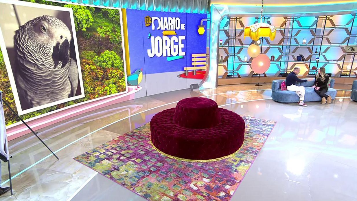 Mireia busca a su lora Lila