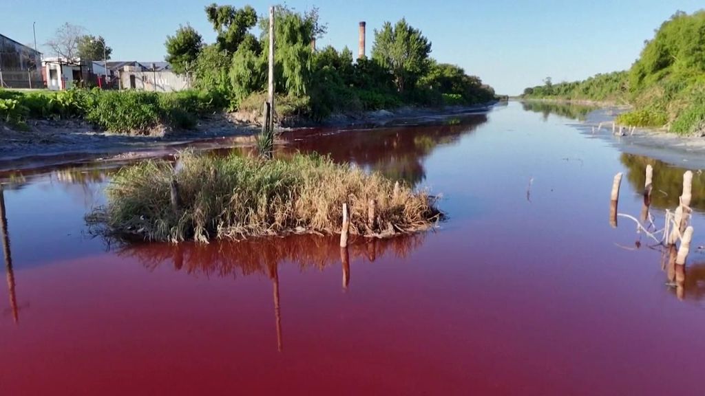 Un arroyo a las afueras de Buenos Aires se tiñe de rojo y los vecinos denuncian la situación