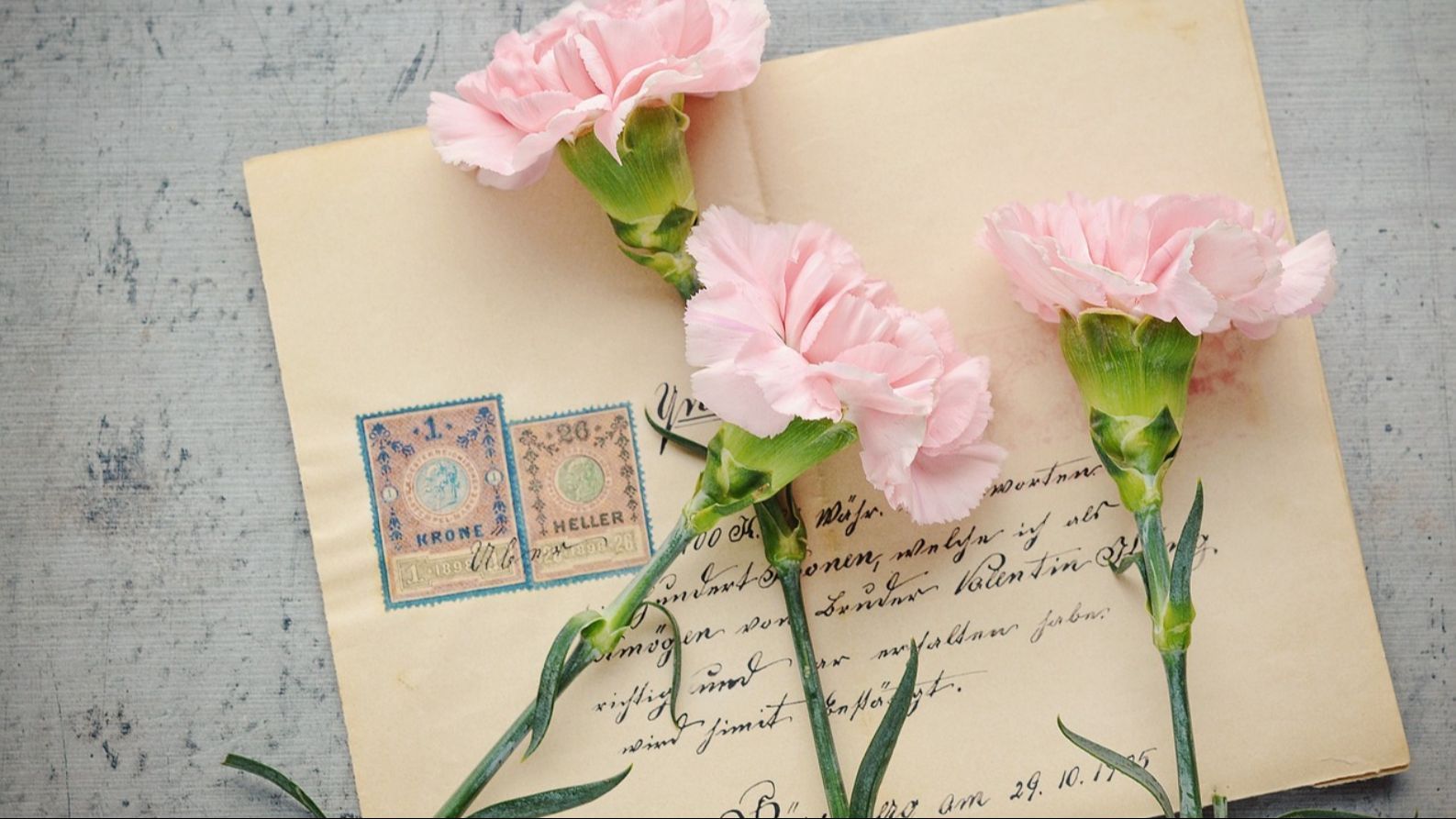 Un sobre y varios claveles