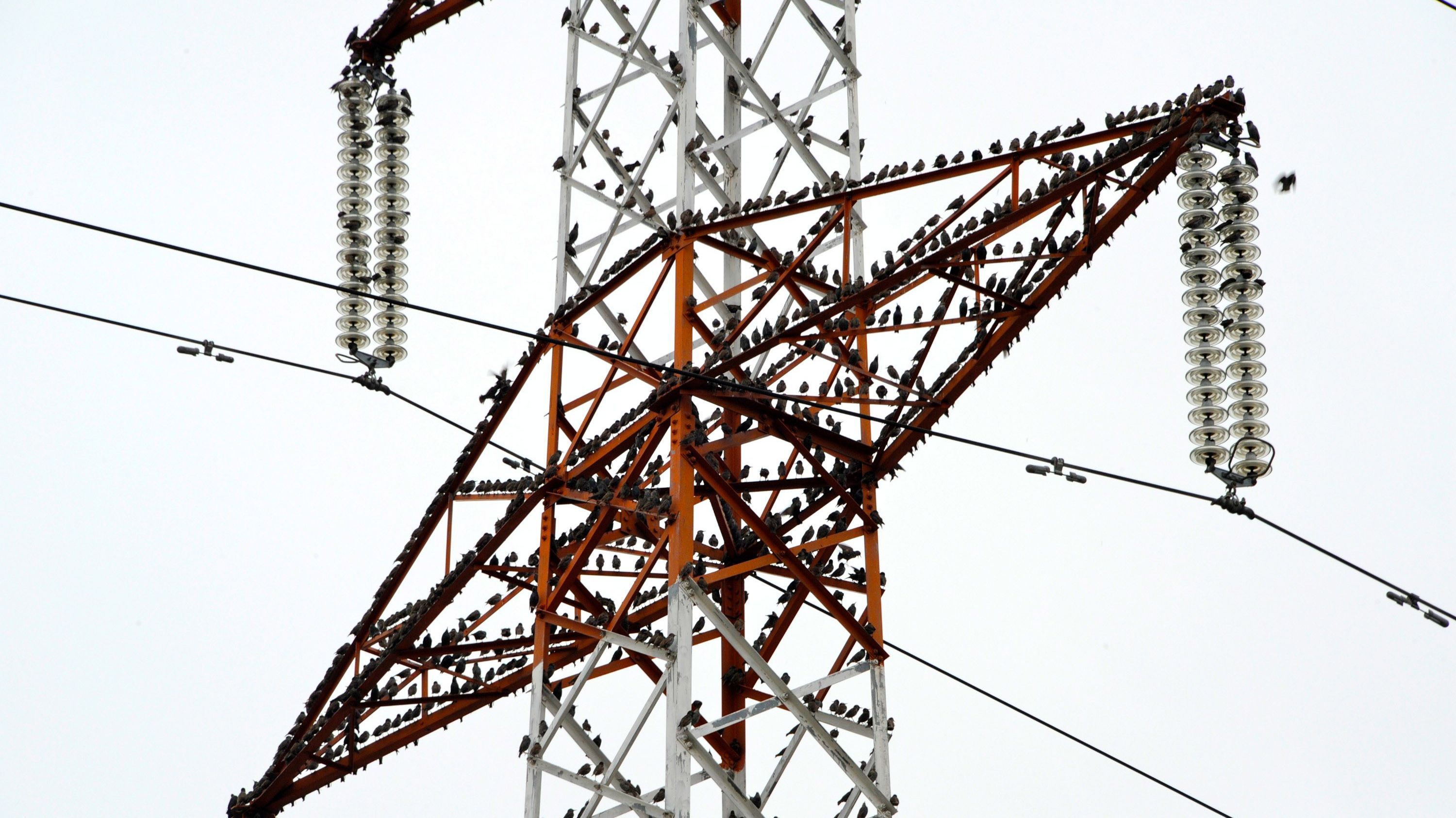 Los países bálticos completan su desconexión del sistema eléctrico ruso