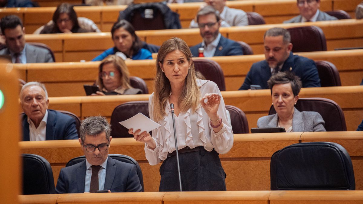 La vicepresidenta tercera y ministra para la Transición Ecológica y el Reto Demográfico, Sara Aagesen