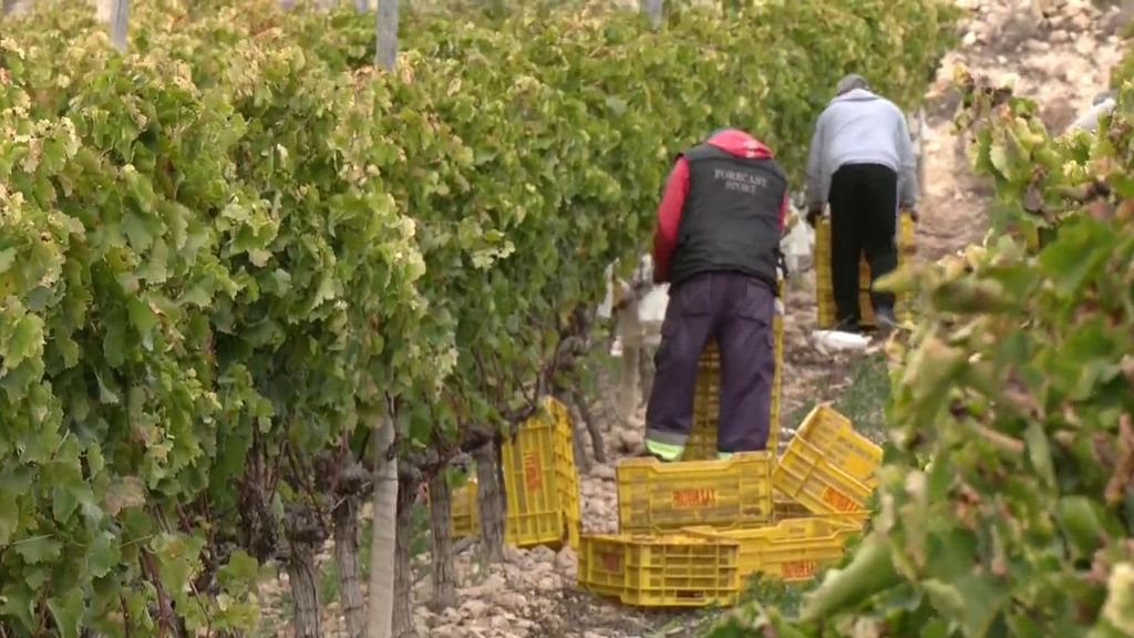 La realidad de la subida del SMI y la consecuencia de las retenciones: "Realmente no nos va a repercutir en nada"