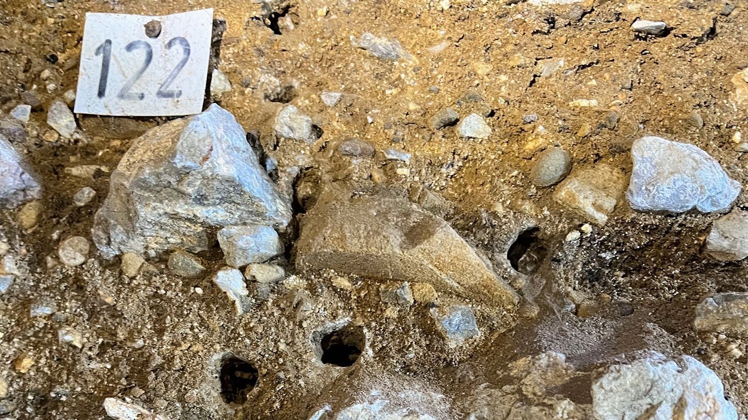 Sedimento de la cueva de El Mirón en Ramales de la Victoria.