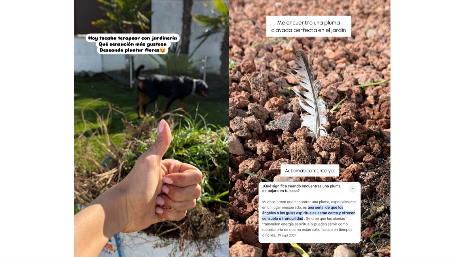 Sofía Suescun encuentra un significado al hallazgo que ha hecho en su jardín